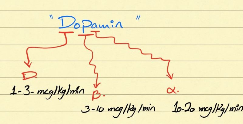 Dopamine